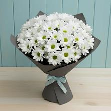 Букет цветов из:  Хризантемы #REPLACE_PRED# Викулово