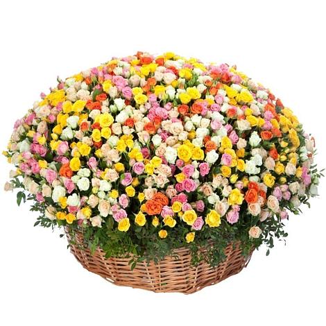 Премиум букет из: Розы в Викулово