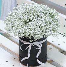 Цветочная композиция из Гипсофила в шляпной коробке в Викулово