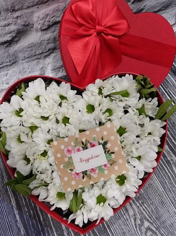 Цветочная композиция из Хризантемы в виде сердца в Викулово