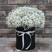 Цветочная композиция из Гипсофила в шляпной коробке #REPLACE_PRED# Викулово